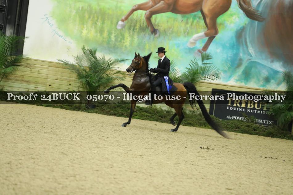 Proof Number 24BUCK_05070