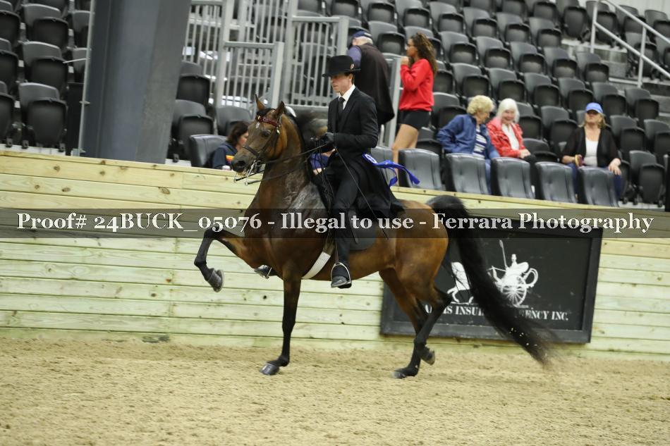 Proof Number 24BUCK_05076