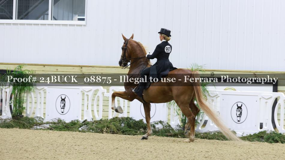 Proof Number 24BUCK_08875