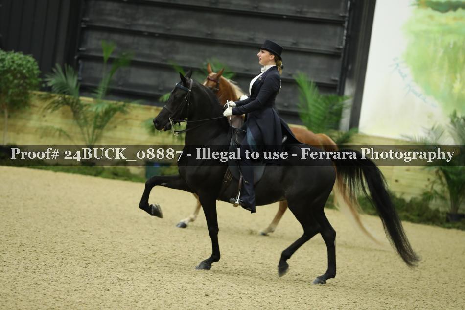 Proof Number 24BUCK_08887