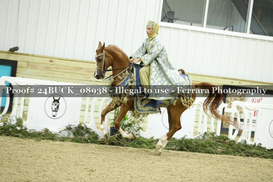 Proof Number 24BUCK_08938