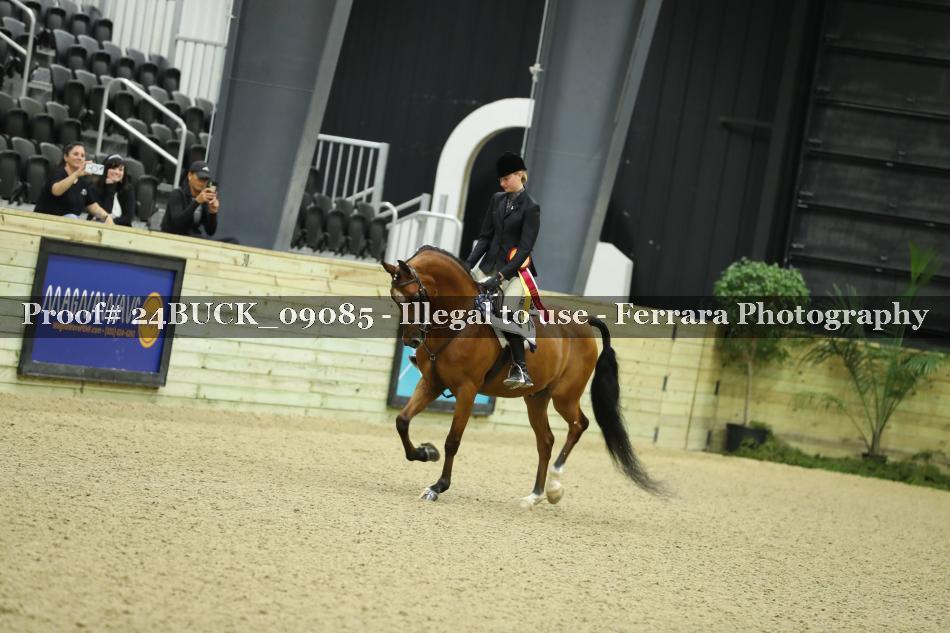Proof Number 24BUCK_09085