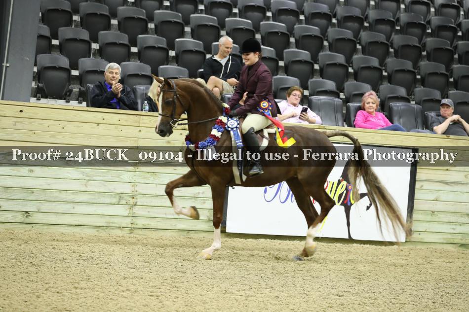Proof Number 24BUCK_09104