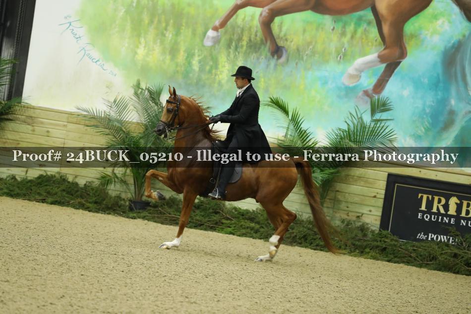 Proof Number 24BUCK_05210