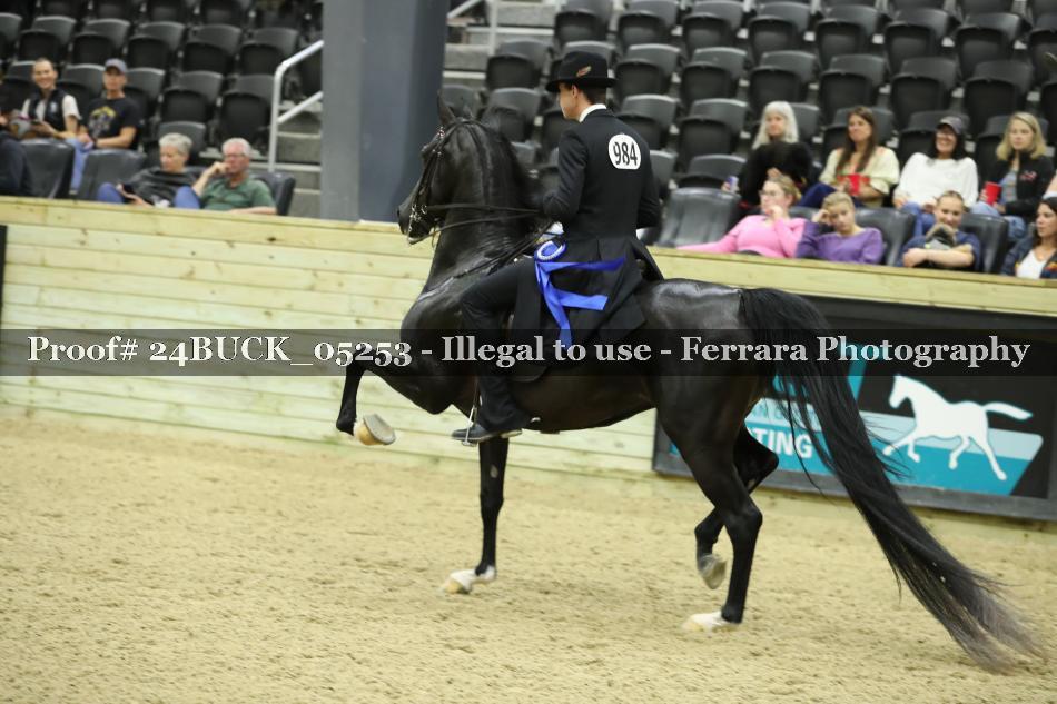Proof Number 24BUCK_05253