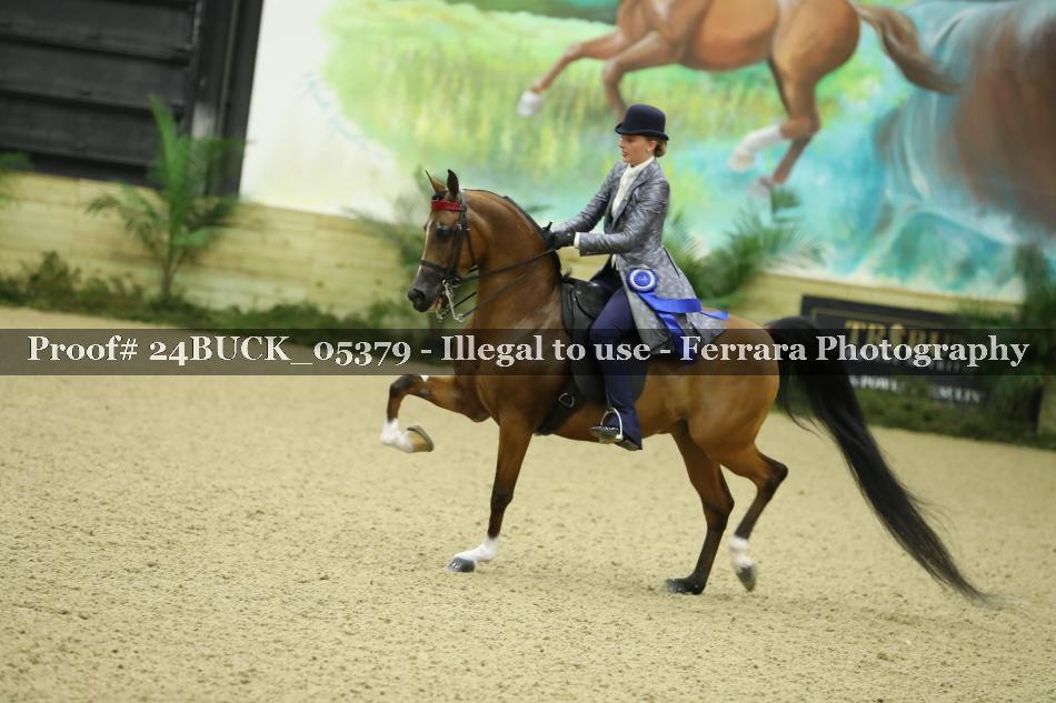 Proof Number 24BUCK_05379