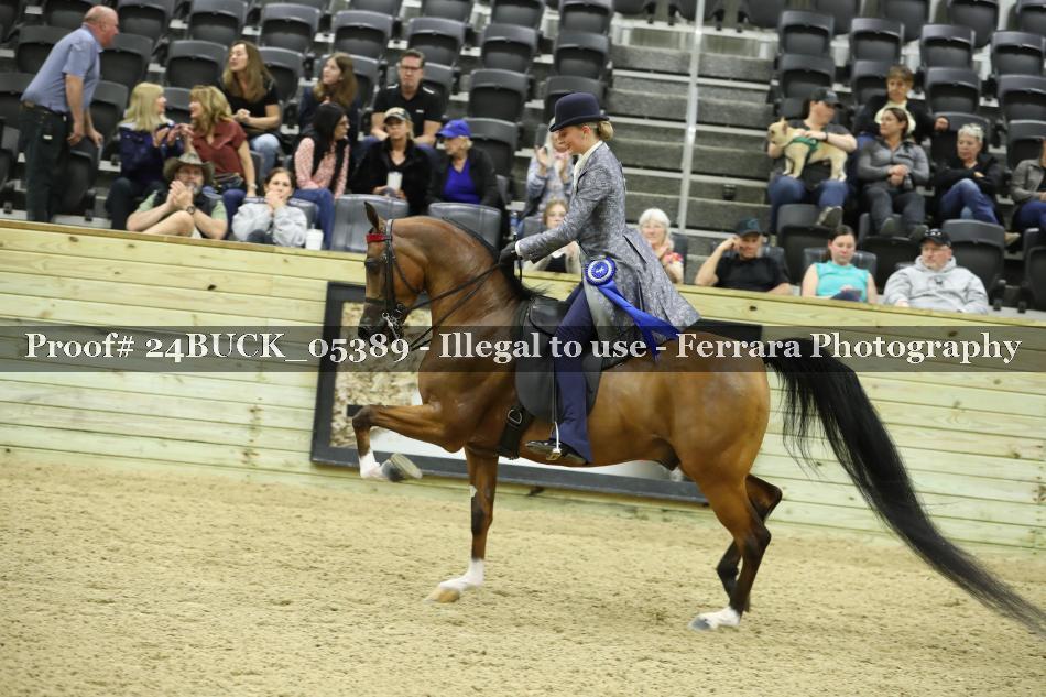Proof Number 24BUCK_05389