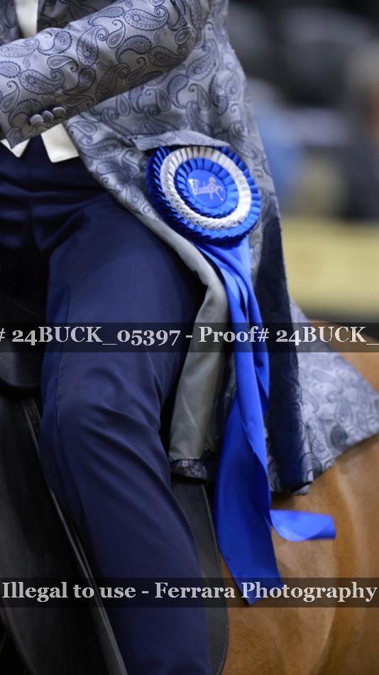 Proof Number 24BUCK_05397