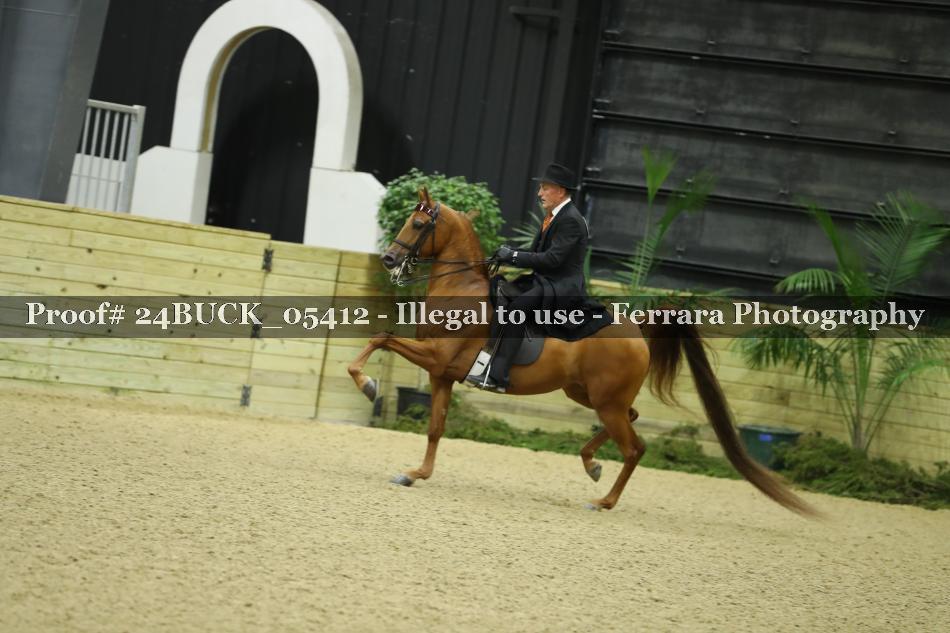 Proof Number 24BUCK_05412
