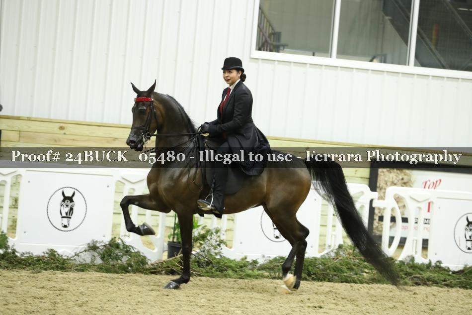 Proof Number 24BUCK_05480