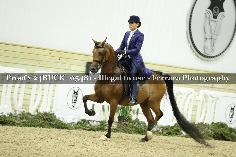 Proof Number 24BUCK_05481