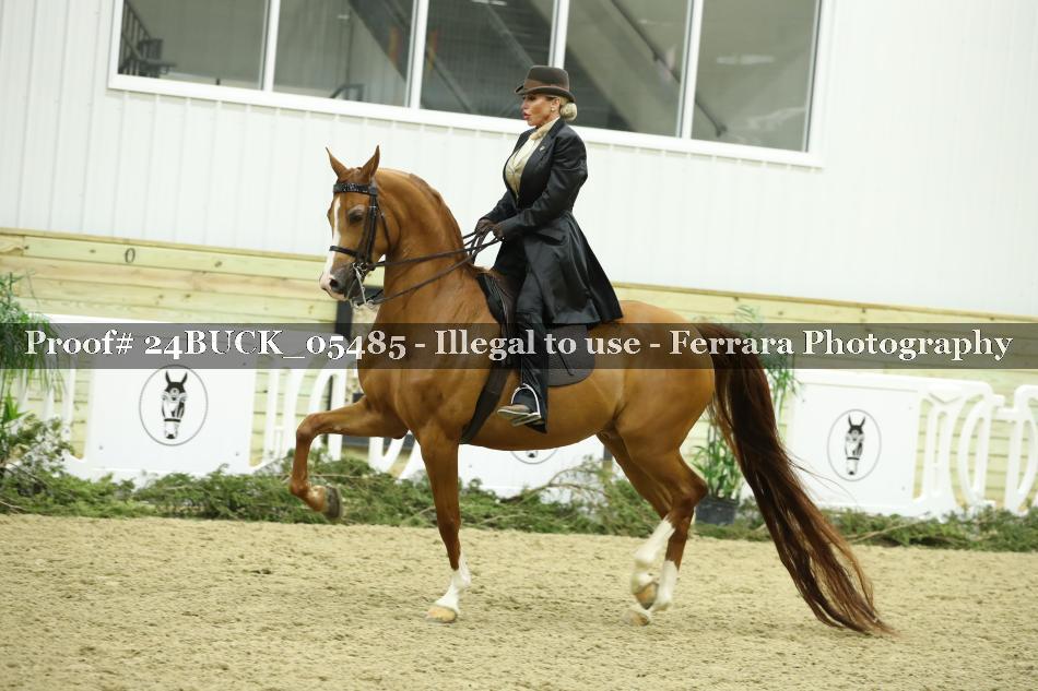 Proof Number 24BUCK_05485
