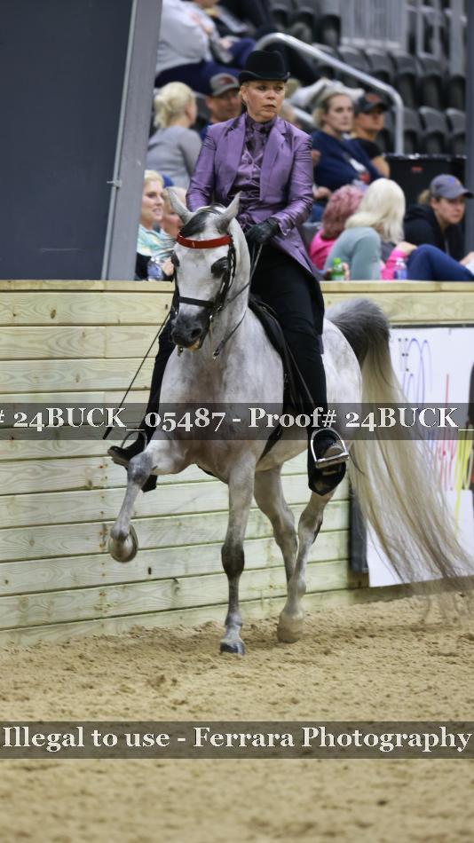 Proof Number 24BUCK_05487