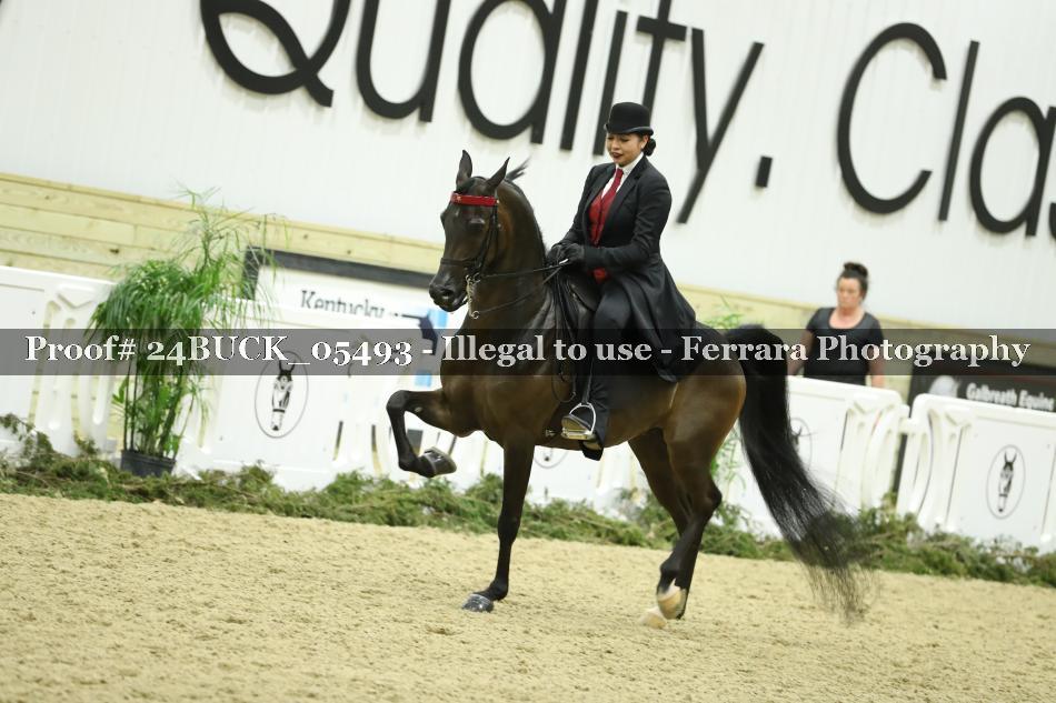 Proof Number 24BUCK_05493