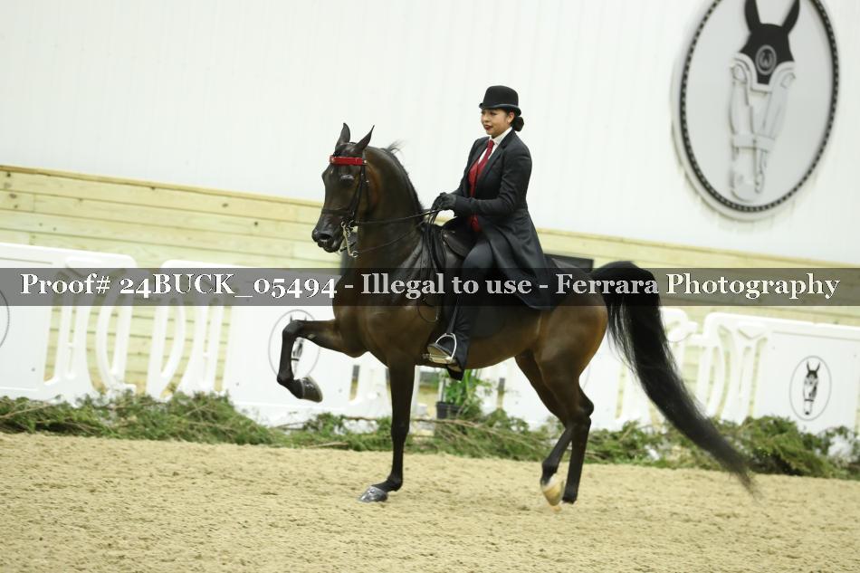 Proof Number 24BUCK_05494