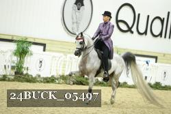 24BUCK_05497 thumbnail