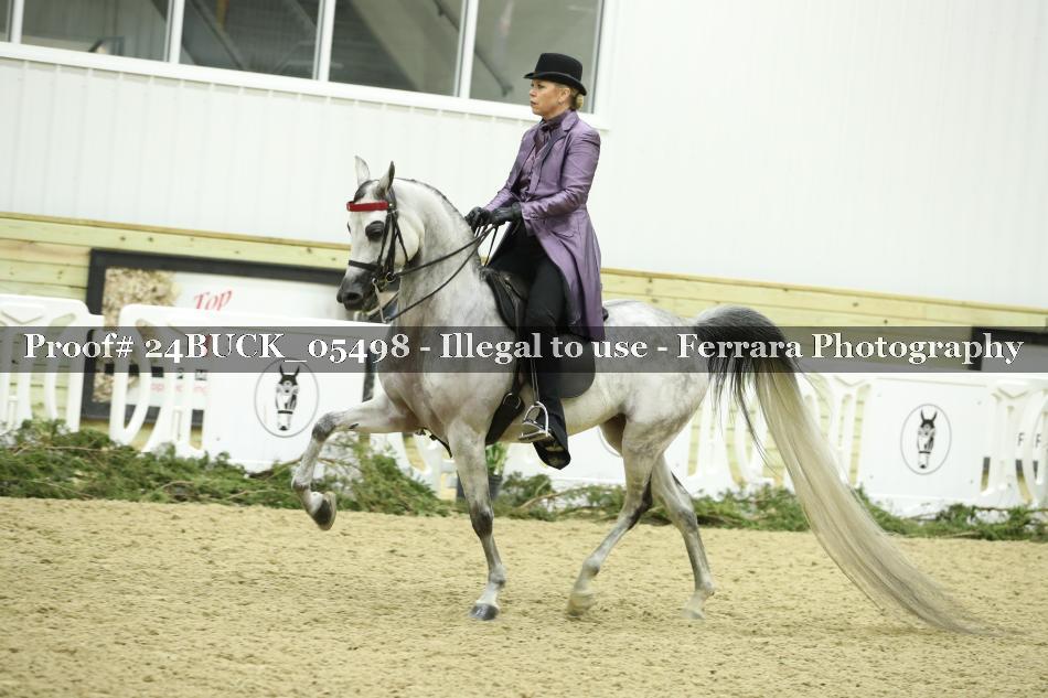 Proof Number 24BUCK_05498