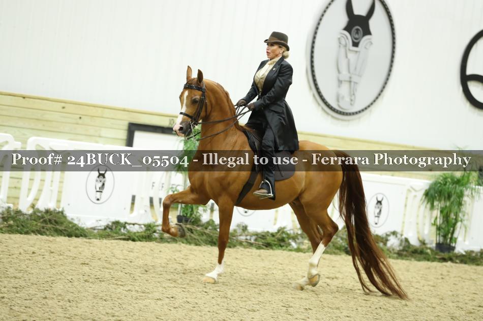 Proof Number 24BUCK_05504