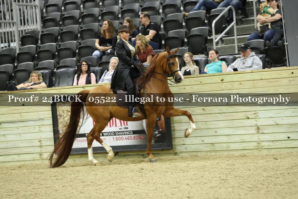 Proof Number 24BUCK_05522
