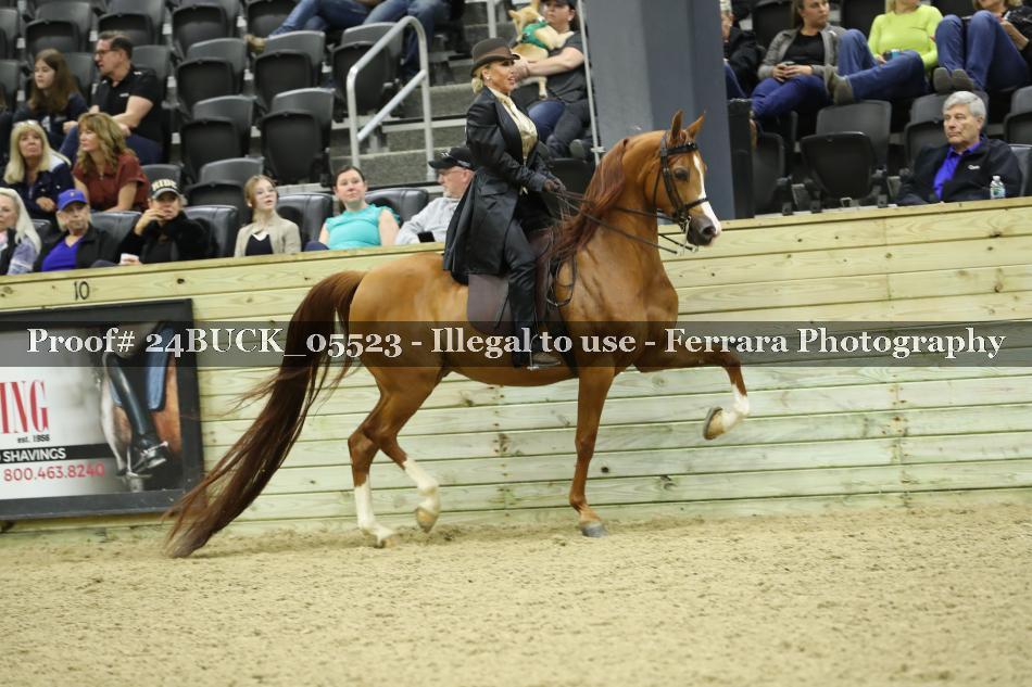 Proof Number 24BUCK_05523