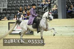 24BUCK_05533 thumbnail