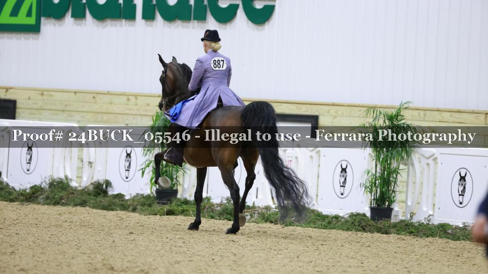 Proof Number 24BUCK_05546