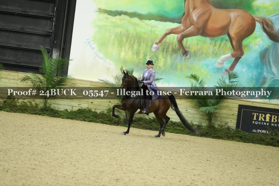 Proof Number 24BUCK_05547
