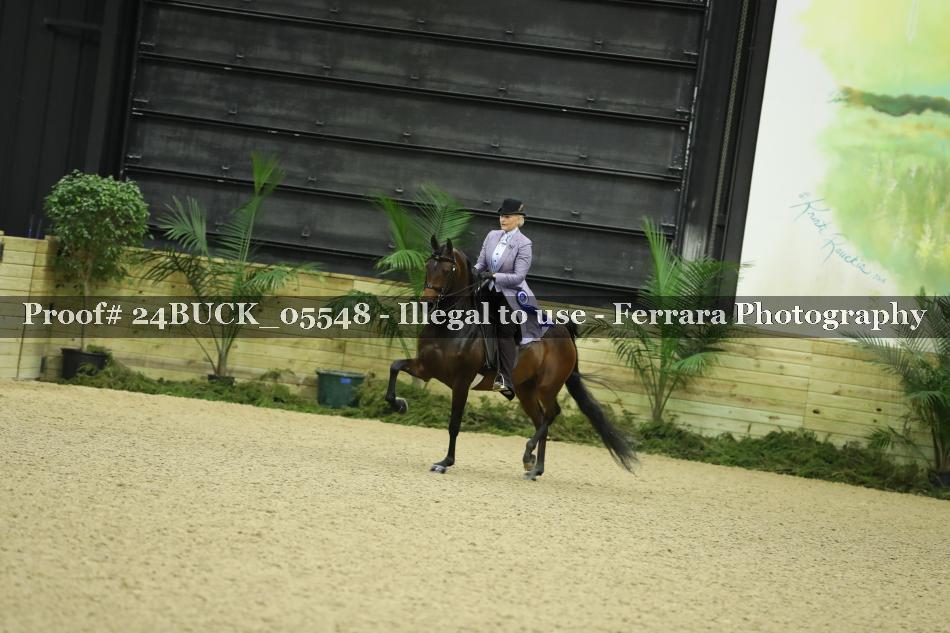 Proof Number 24BUCK_05548