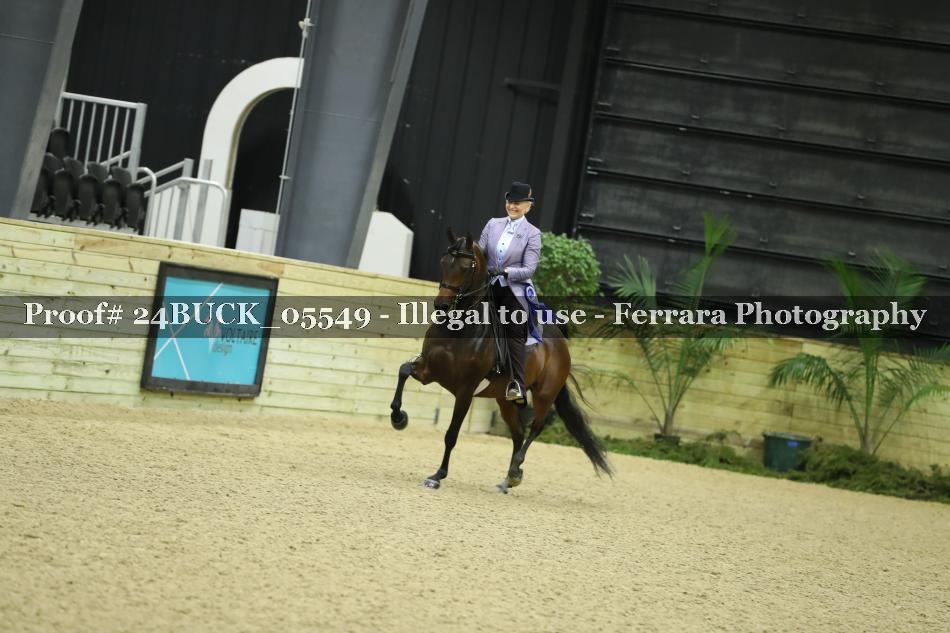 Proof Number 24BUCK_05549