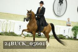 24BUCK_05601 thumbnail