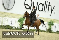 24BUCK_05611 thumbnail