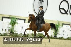 24BUCK_05612 thumbnail