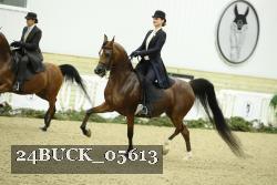 24BUCK_05613 thumbnail