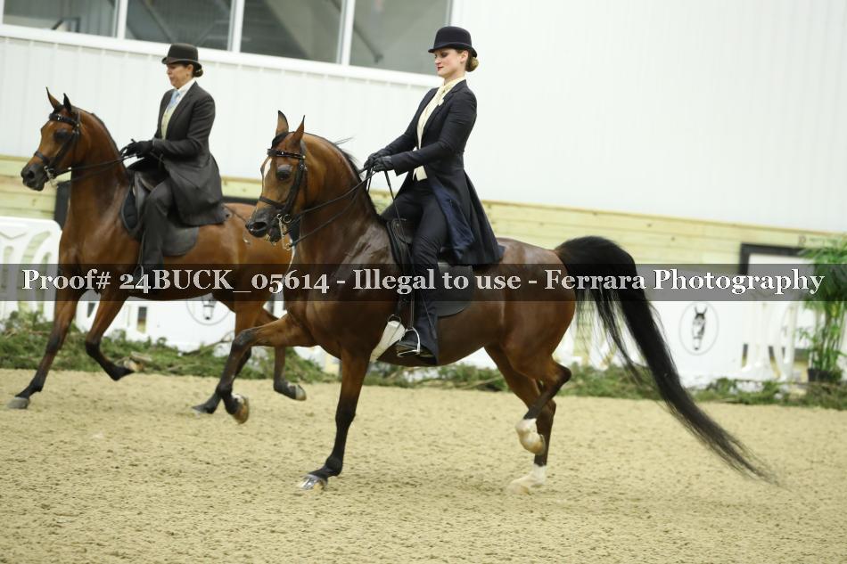 Proof Number 24BUCK_05614