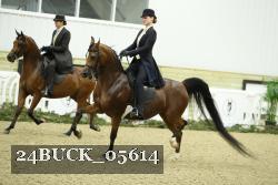 24BUCK_05614 thumbnail