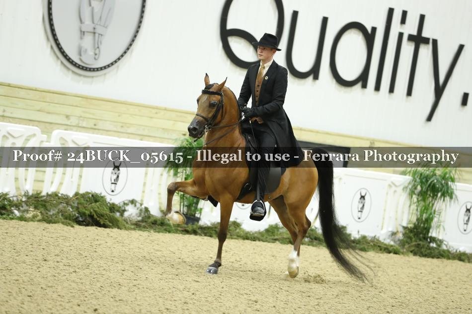 Proof Number 24BUCK_05615