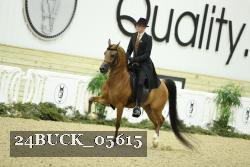 24BUCK_05615 thumbnail