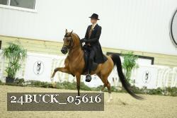 24BUCK_05616 thumbnail