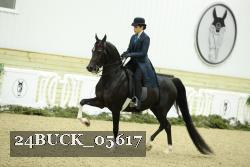 24BUCK_05617 thumbnail