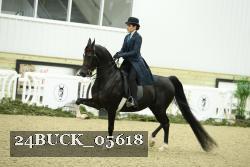 24BUCK_05618 thumbnail