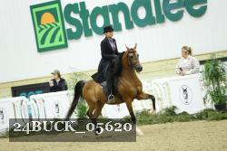24BUCK_05620 thumbnail