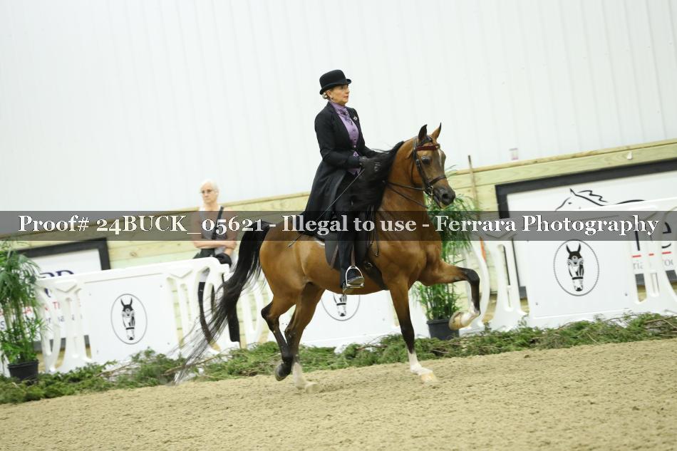 Proof Number 24BUCK_05621