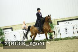24BUCK_05621 thumbnail