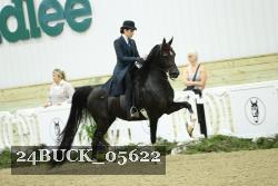 24BUCK_05622 thumbnail