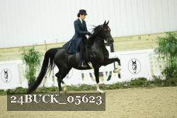 24BUCK_05623 thumbnail