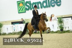 24BUCK_05624 thumbnail