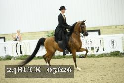 24BUCK_05626 thumbnail