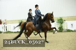 24BUCK_05627 thumbnail