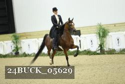 24BUCK_05629 thumbnail