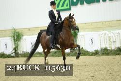 24BUCK_05630 thumbnail